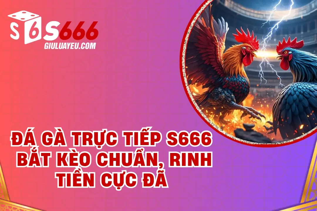 đá gà trực tiếp S666