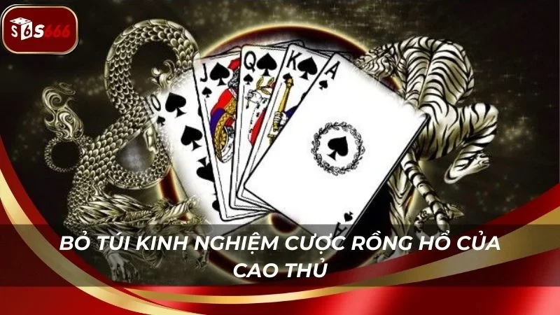 Bỏ túi kinh nghiệm bao ăn của cao thủ lâu năm